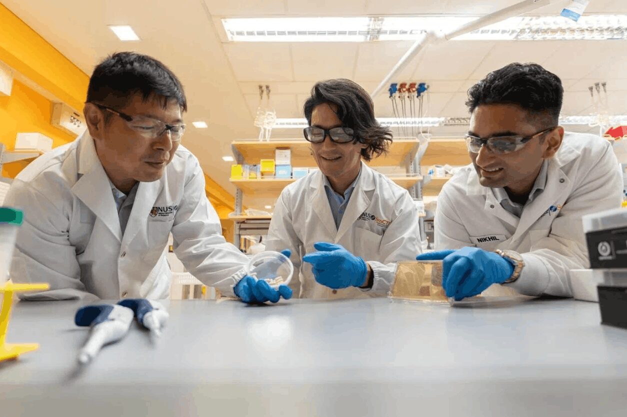 S’pore researchers ‘programme’ good gut bacteria to stop liver toxins from reaching brain