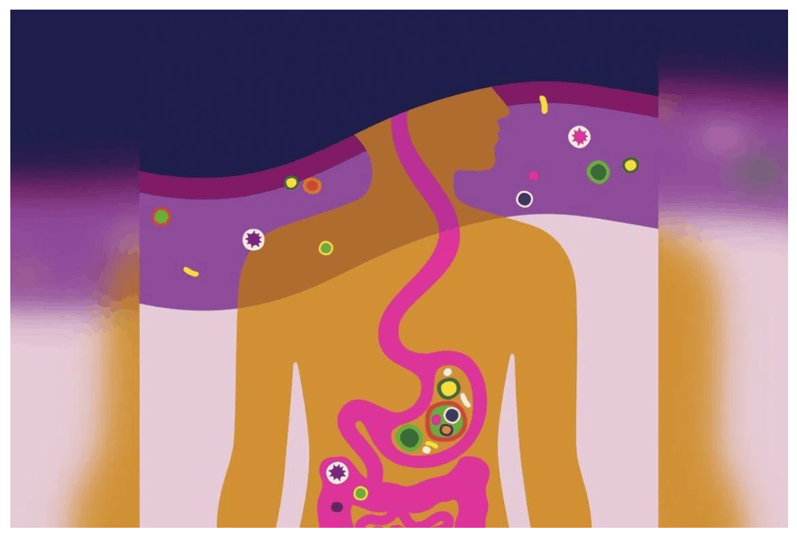 Foggy brain? Maybe it’s your gut