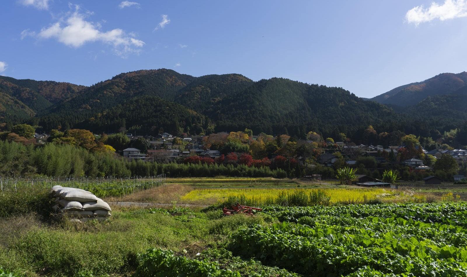 なにもないように見える日本の田舎のイメージ