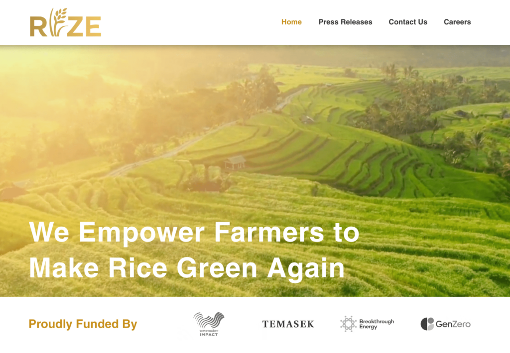 Rize Webサイトの様子
