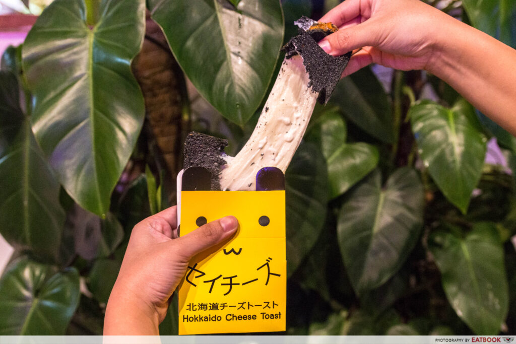 セイチーズの写真イメージ